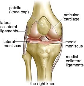 http://mcvayphysicaltherapy.com/wp-content/uploads/2014/03/knee.jpg